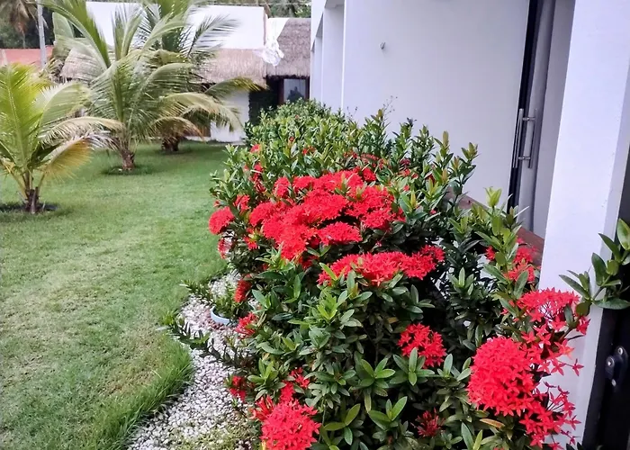 Hotel familiar: Mar Turquesa Eco Pousada